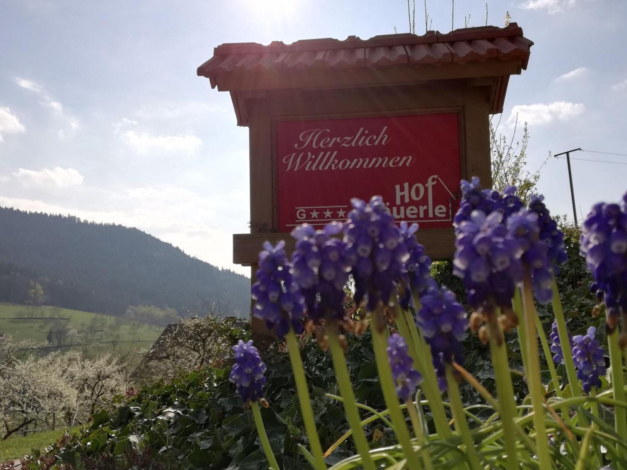 Baeuerlehof Hotel Зеебах Екстериор снимка