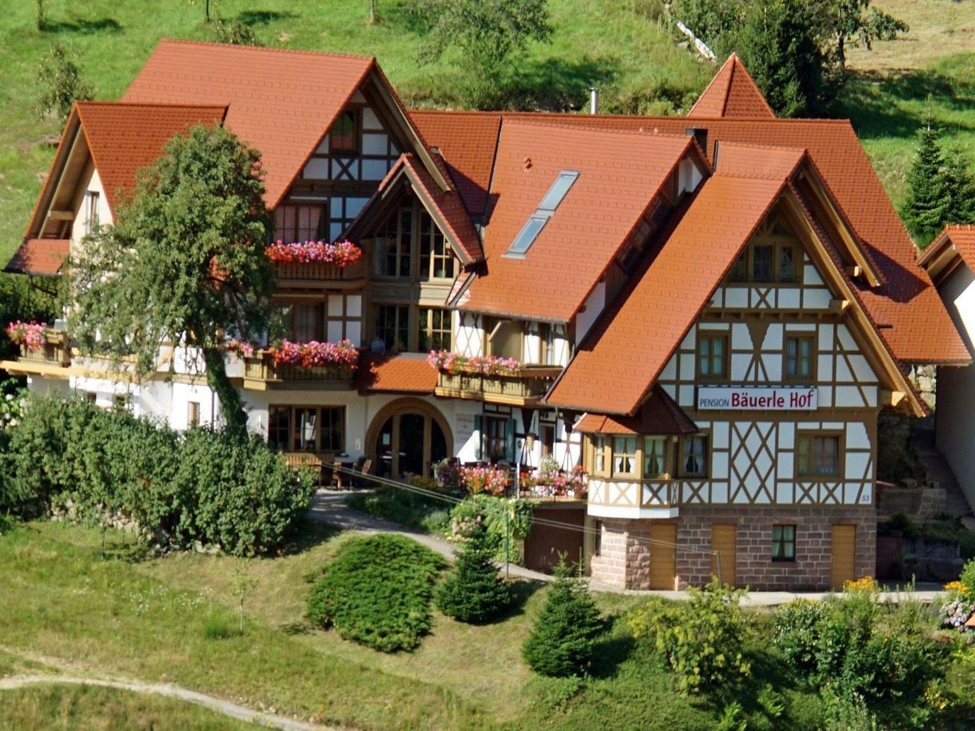 Baeuerlehof Hotel Зеебах Екстериор снимка